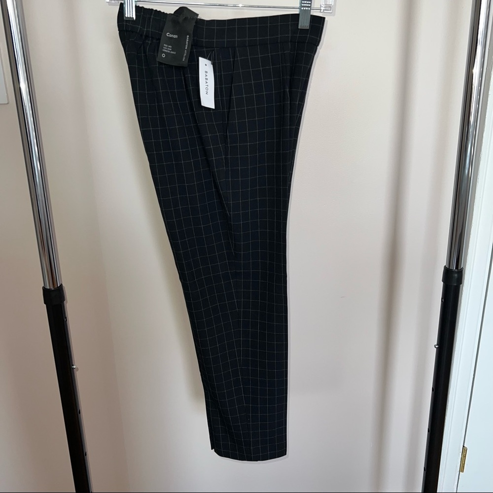 Aritzia Babaton Pants